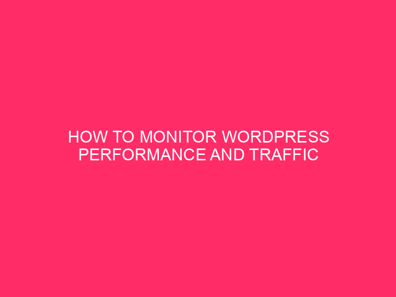 How To Monitor WordPress Performance And Traffic | Level Up…