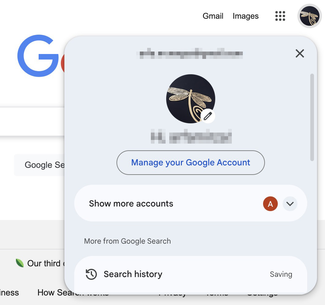 Google Chrome with more Google Accounts setting and profile of the profile