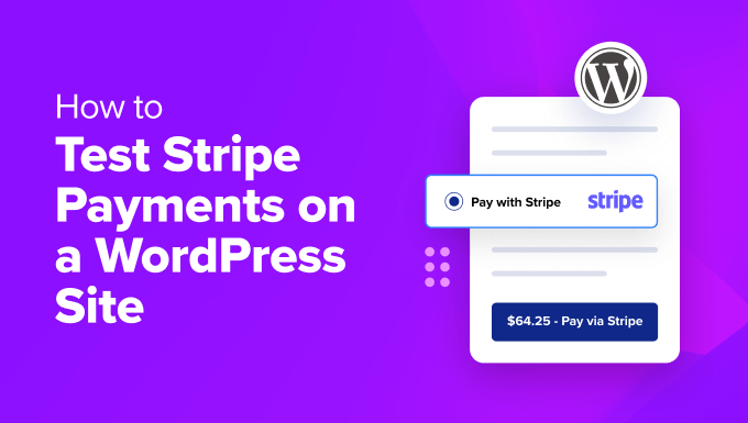 The best way to Take a look at Stripe Bills on a WordPress Web page (3 Simple Strategies)