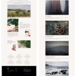 New Starter Website online for Wineries (Fast Set up)