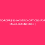 WordPress Hosting Options For Small Businesses | Power Up Your...