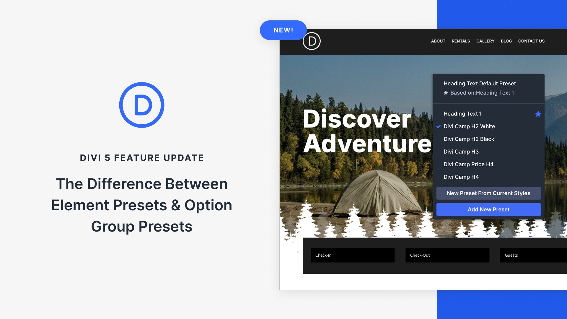The-Difference-Between-Element-Presets-Option-Group-Presets