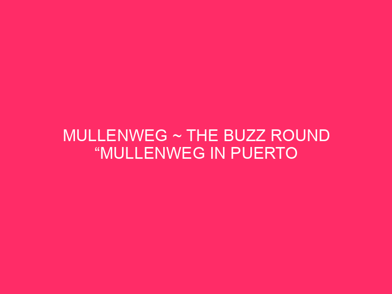 Mullenweg ~ The Buzz Round “Mullenweg In Puerto Rico” And…