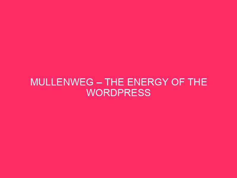 Mullenweg – The Energy Of The WordPress Platform: Working out Mullenweg…