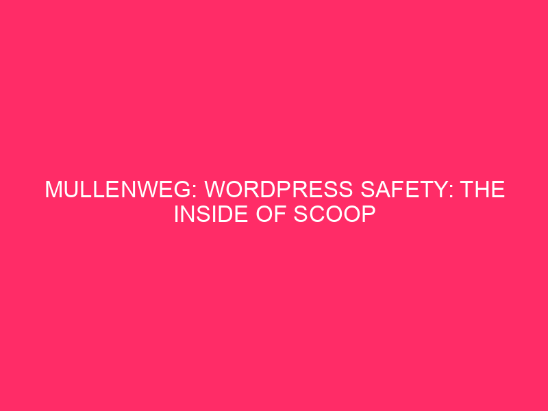 Mullenweg: WordPress Safety: The Inside of Scoop On Mullenweg And Exploits…
