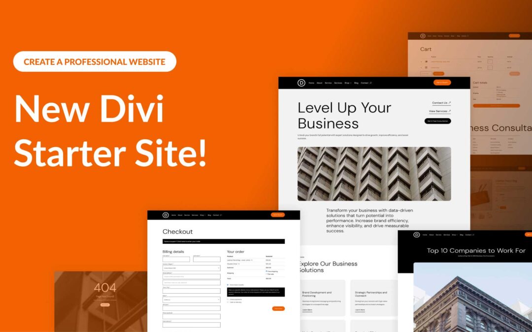 New Starter Site for Professionals (Quick Install)