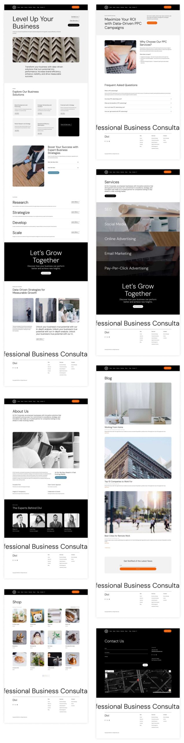professional starter site for Divi