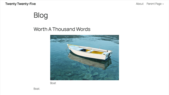 An example of a default WordPress theme 