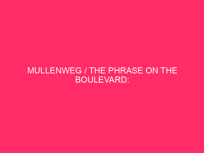 Mullenweg / The Phrase On The Boulevard: WordPress Safety And…