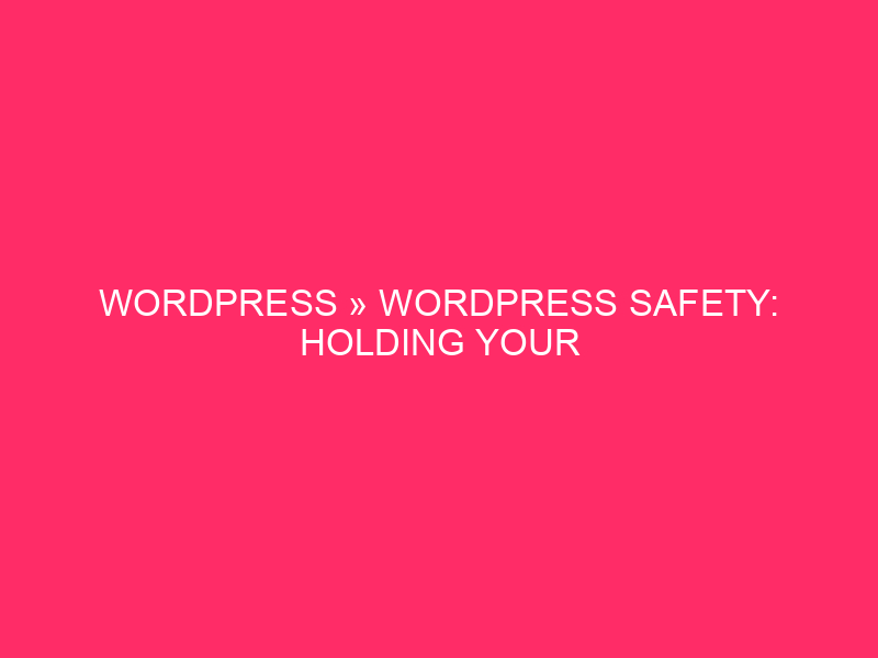WordPress » WordPress Safety: Holding Your Michigan Website online Protected From…