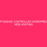WP Engine Controlled WordPress Web hosting Options / WordPress Safety: Protective…