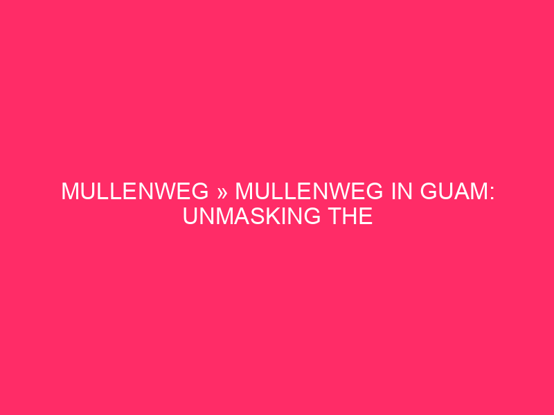 Mullenweg » Mullenweg In Guam: Unmasking The WordPress Safety Danger…