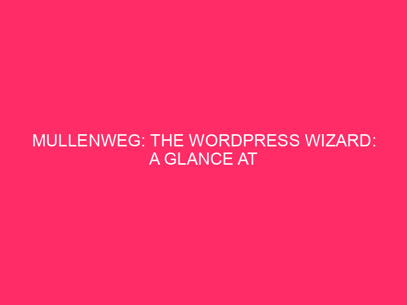 Mullenweg: The WordPress Wizard: A Glance At Mullenweg And Exploits…
