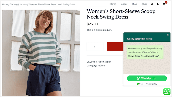 An example of a WhatsApp chat window on a WooCommerce store