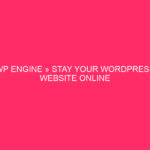 WP Engine » Stay Your WordPress Website online Protected: Figuring out WP…