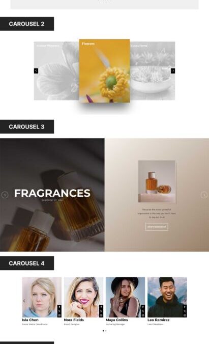 5 Carousel Designs For Divi 5 (Loose Obtain)