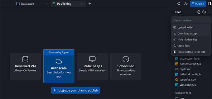 Publish replit website