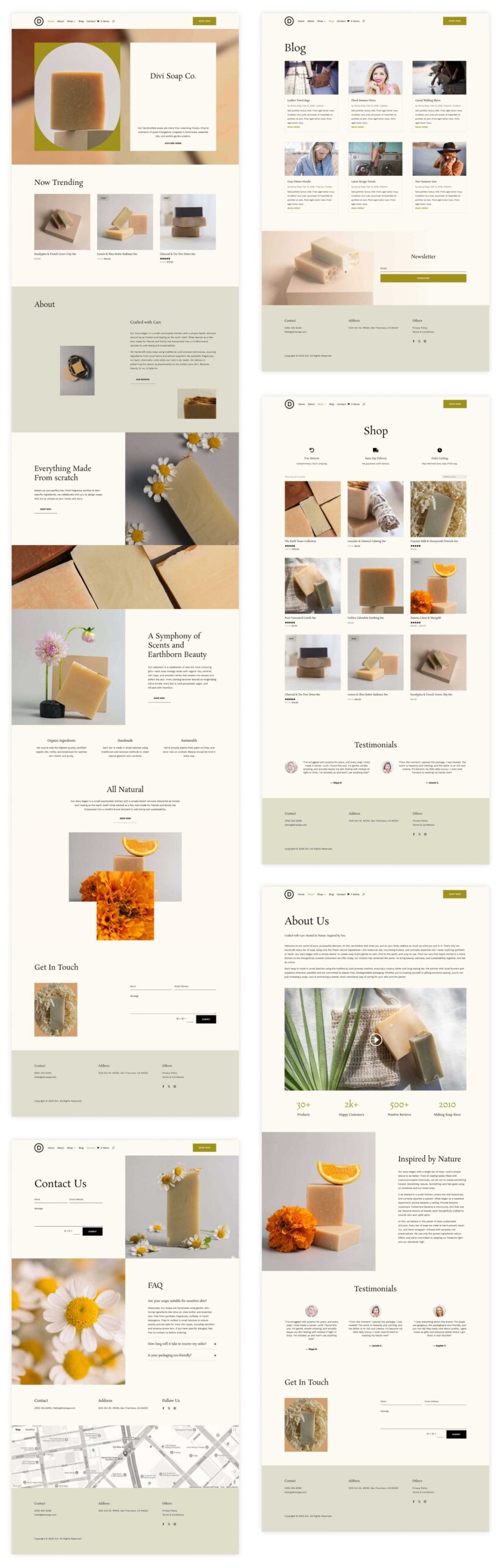 Soap starter site for Divi