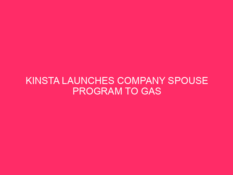 Kinsta launches Company Spouse Program to gas enlargement for virtual businesses