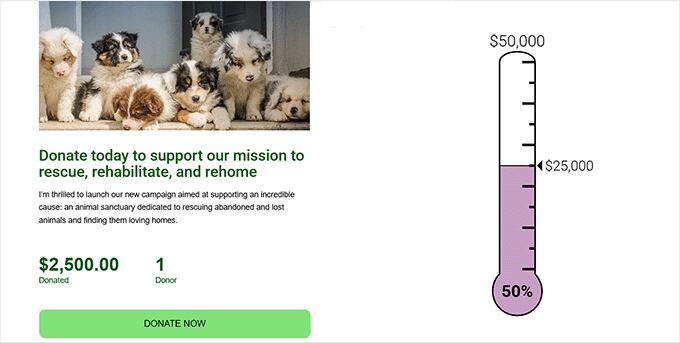 Preview of a simple fundraising thermometer
