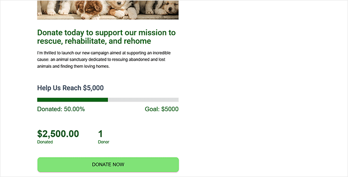 Preview of a fundraising thermometer in Charitable