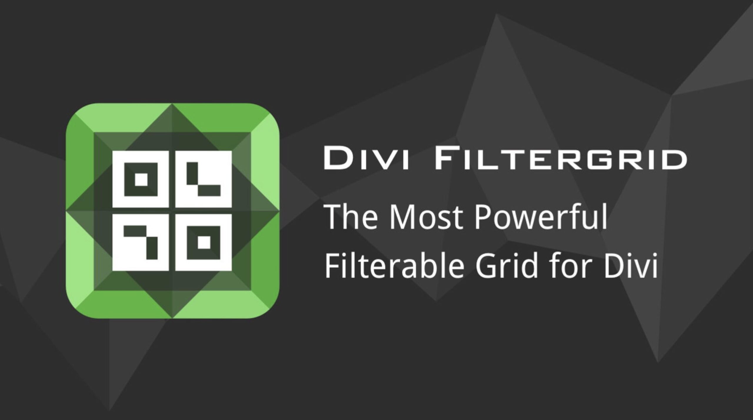 Divi FilterGrid