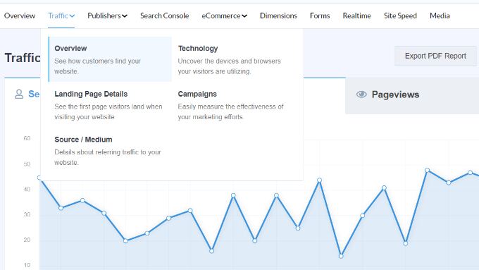 Traffic report in MonsterInsights