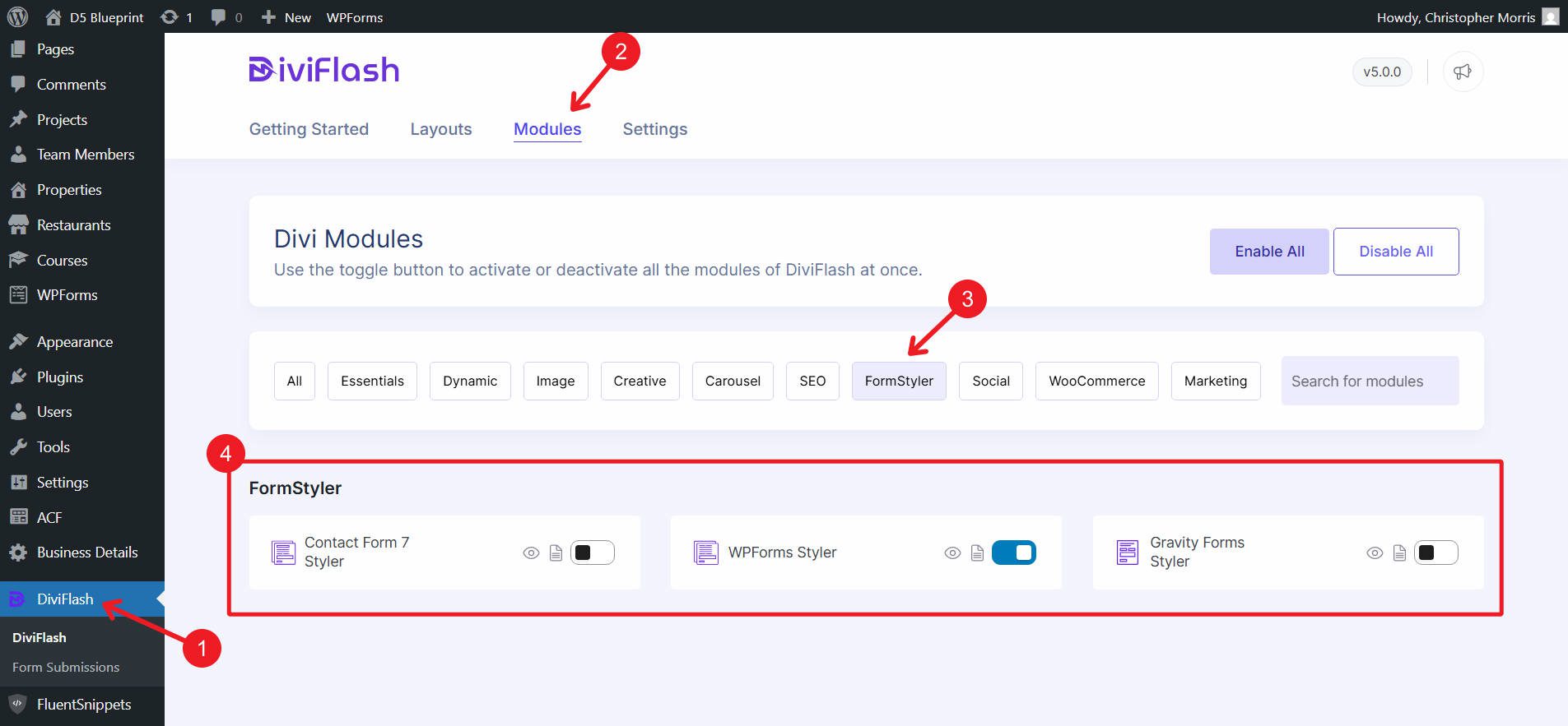 Enable FormStyler for Particular Fom Plugin You Use