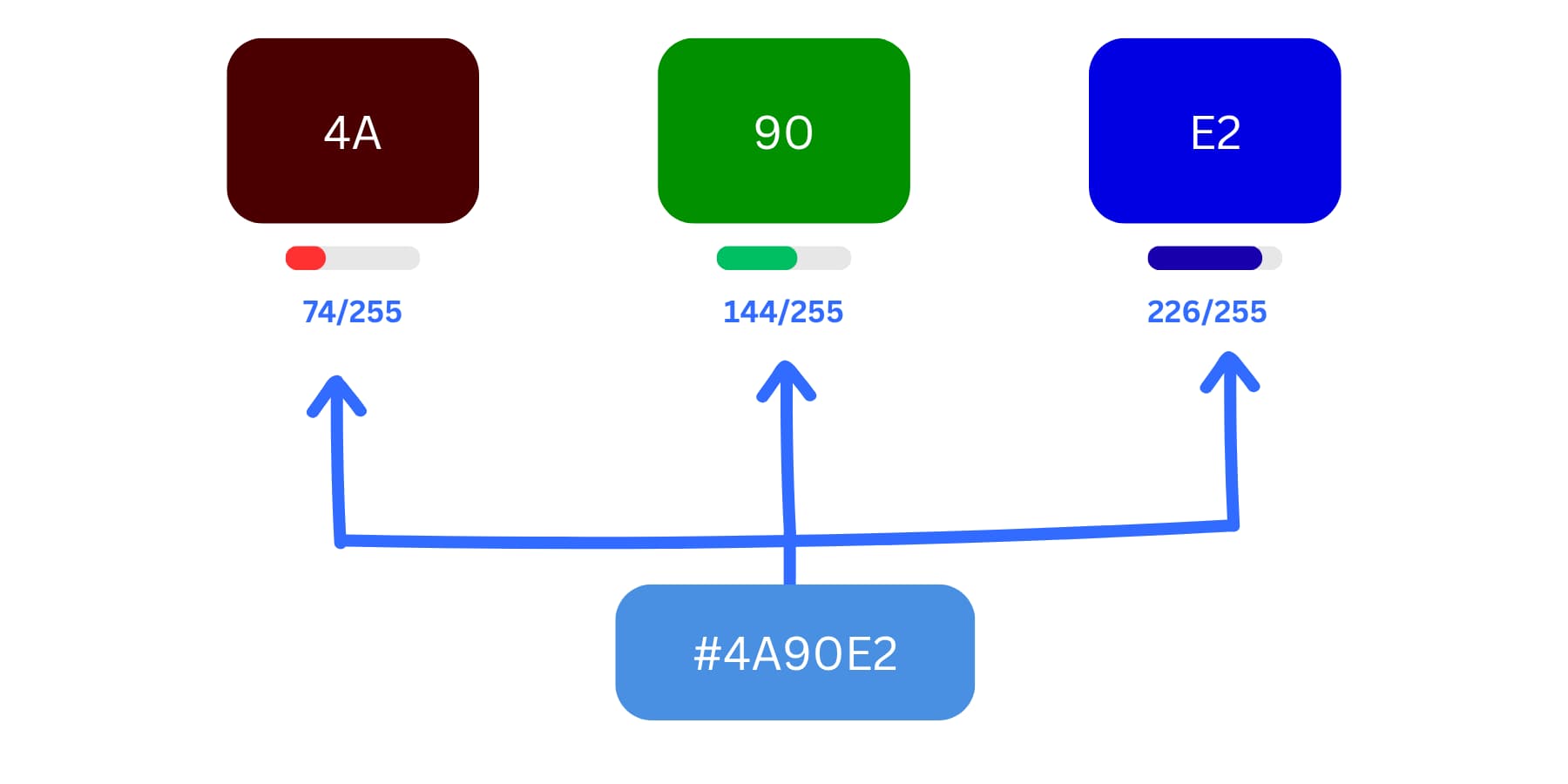 Hex colors are made by mixing red, green, and blue values. Each pair (like 4A, 90, E2) shows how much of each color is used, from 0 to 255. Together, they create the final color #4A90E2