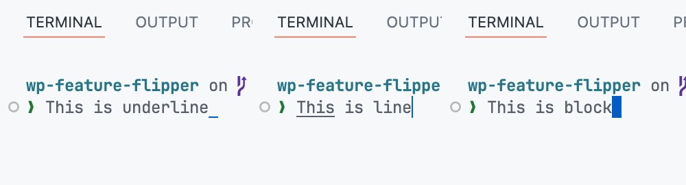 Different terminal cursor styles