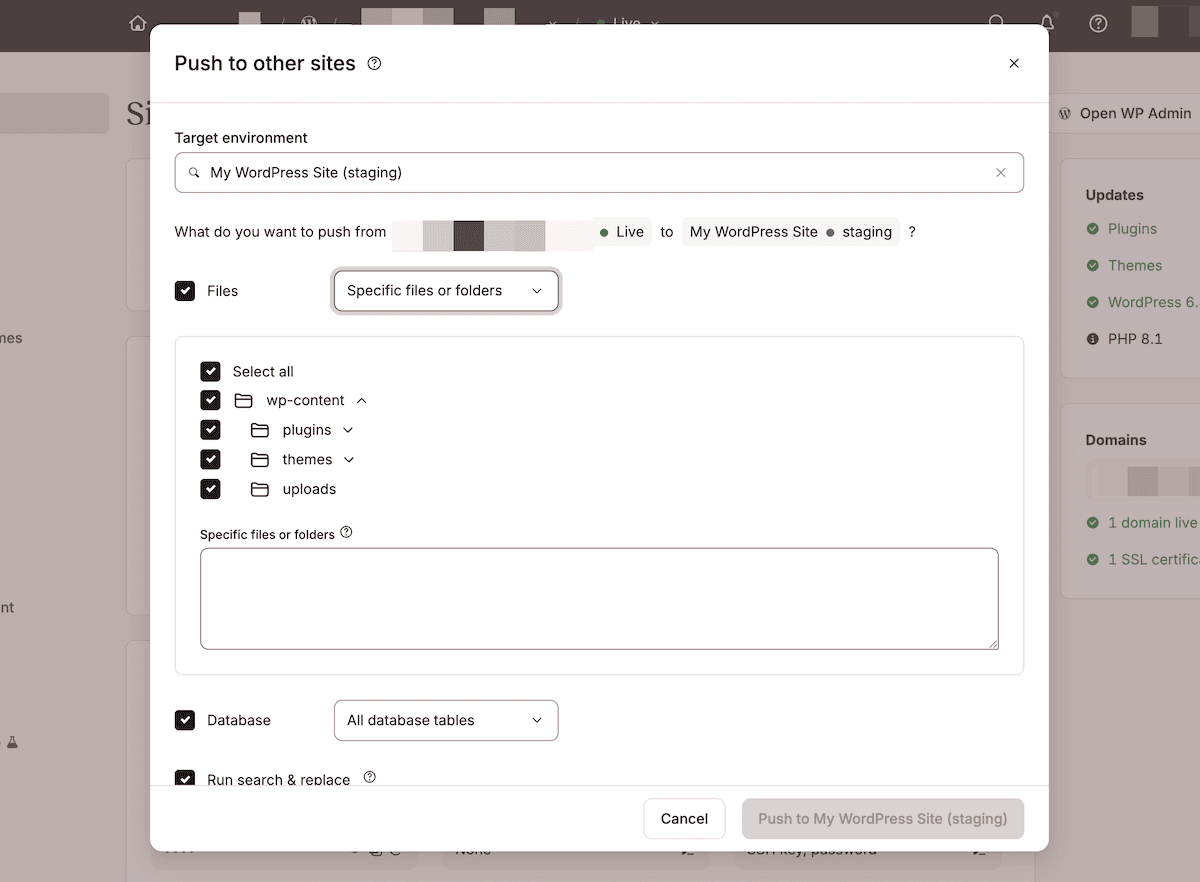 The selective push interface within MyKinsta that shows deployment options.