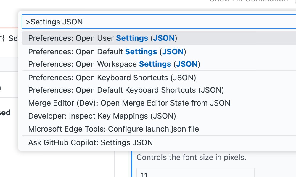 VS Code settings JSON editor