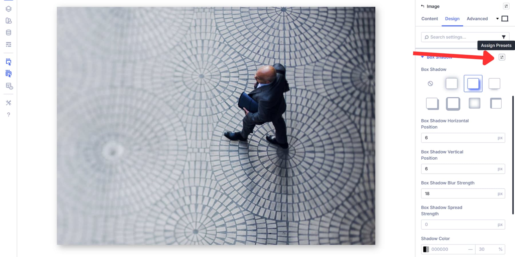 A screenshot of the option group preset icon in Divi 5