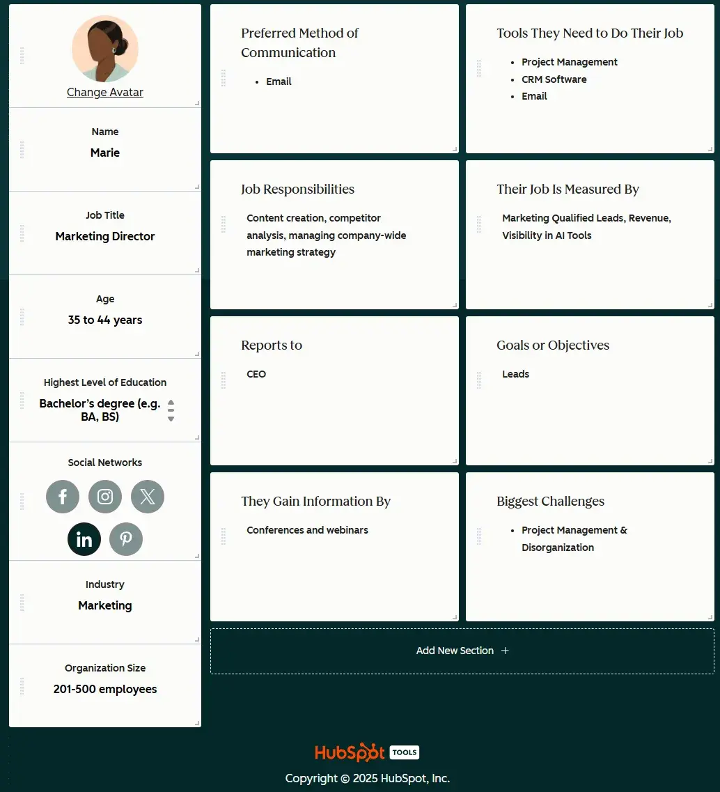 hubspot&rsquo;s buyer persona creates a detailed persona so brands can target specific people with specific problems. this way of targeting is an emerging answer engine optimization trend.
