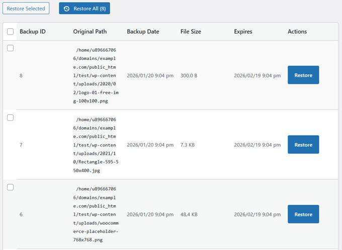 restore deleted versions