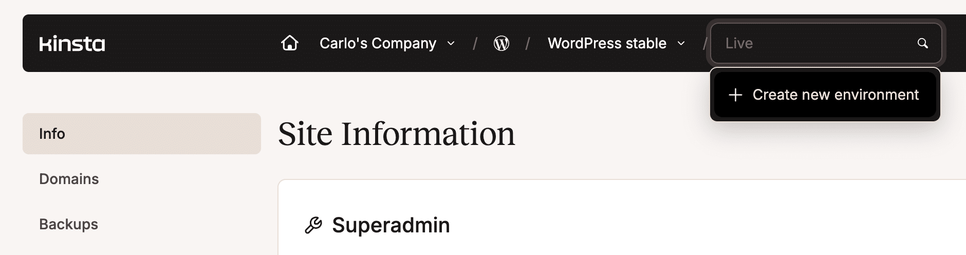 Create new environment in MyKinsta