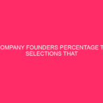 4 company founders percentage the selections that formed their companies