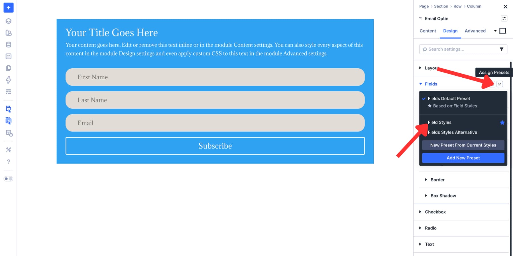A screenshot of field Option Group Presets available in the Email Optin module in Divi 5