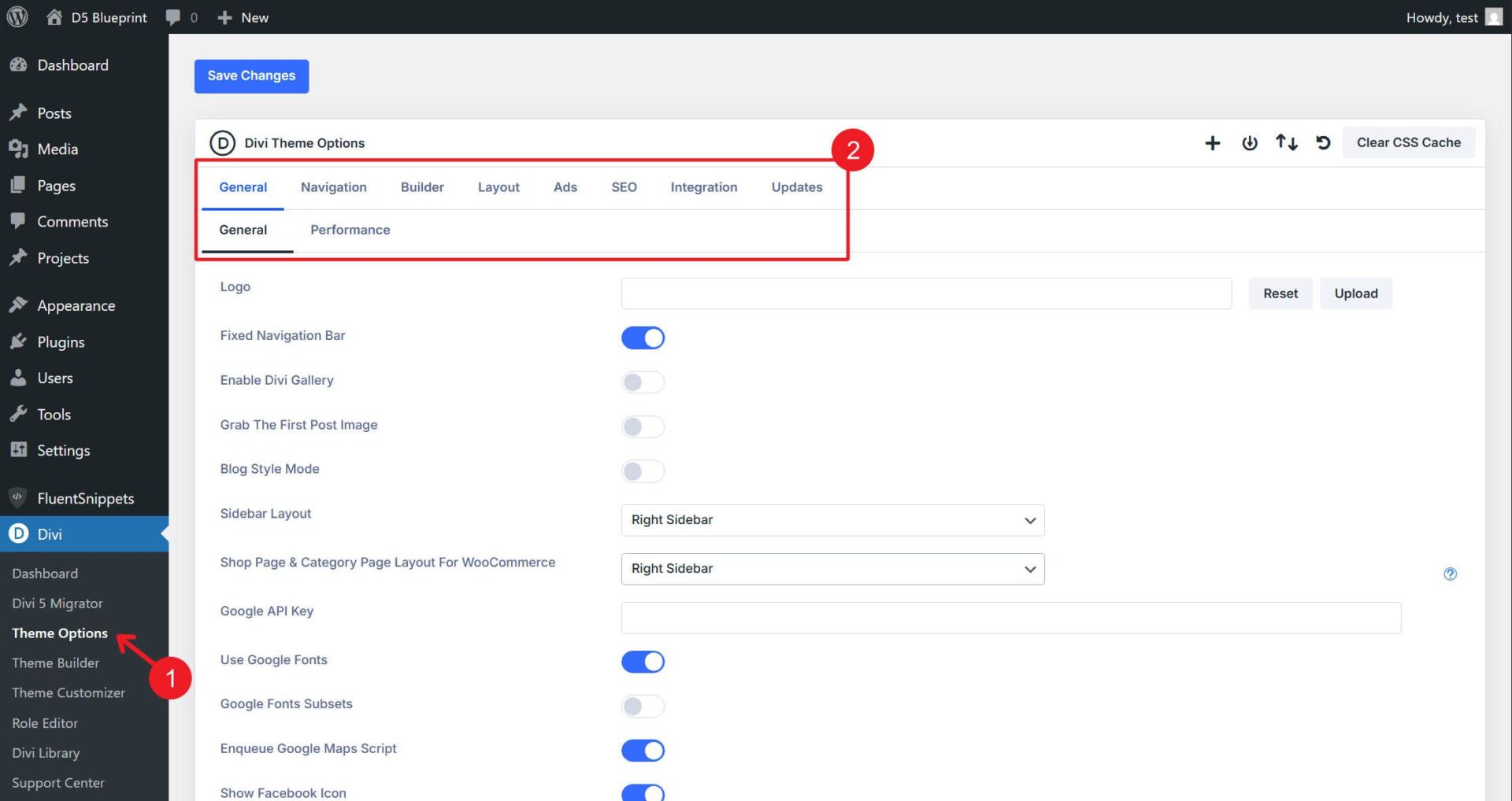 Divi Theme Options Page