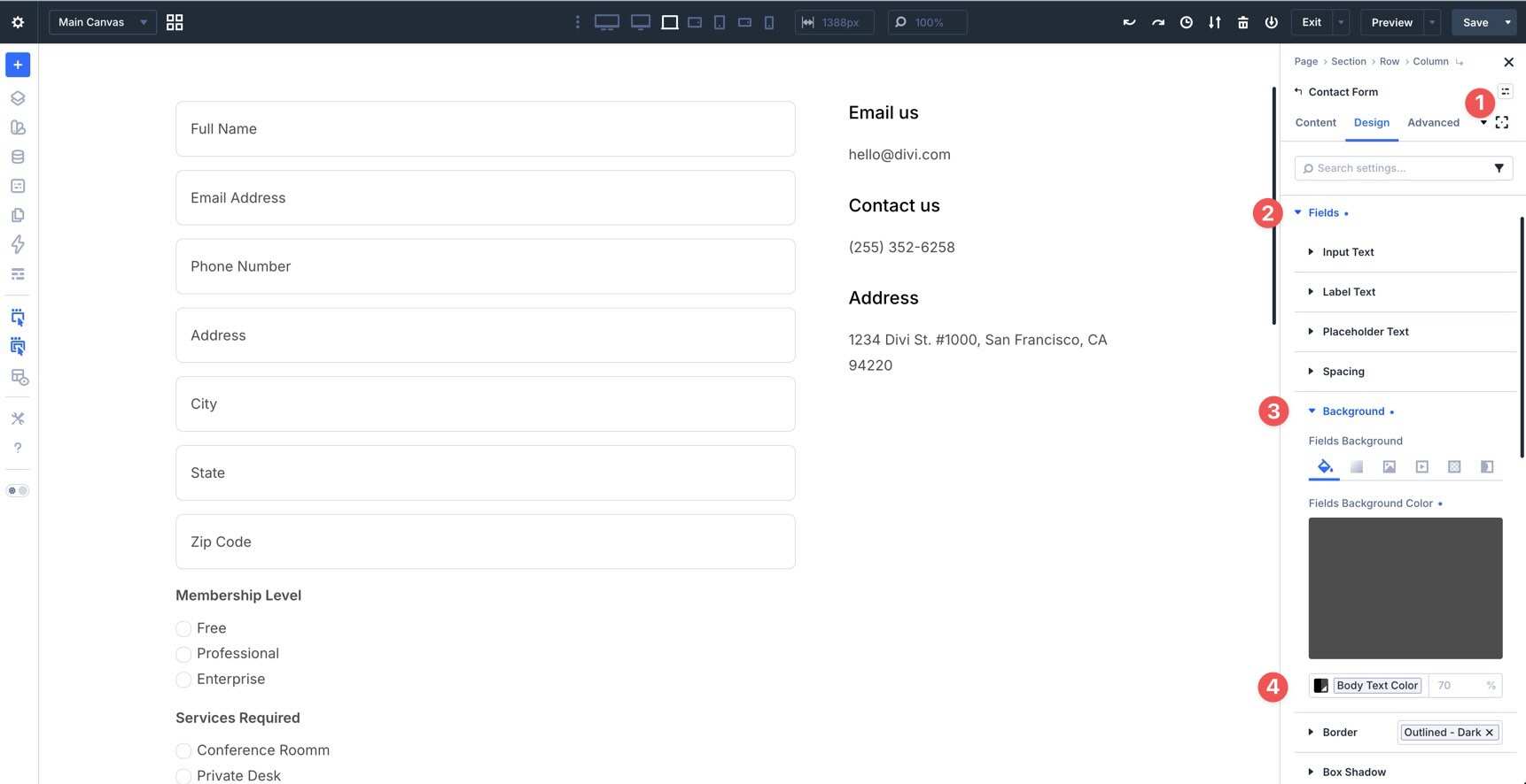 Focus Background Color settings in Divi 5