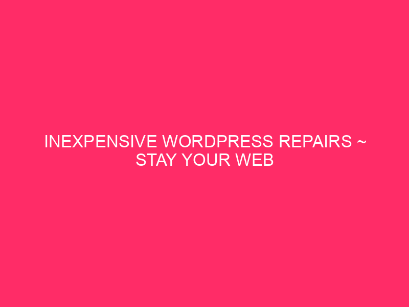 Inexpensive WordPress Repairs ~ Stay Your Web site Shining: Sensible &…