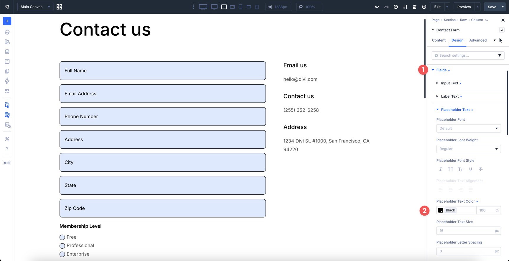 Placeholder Text Color settings in Divi 5