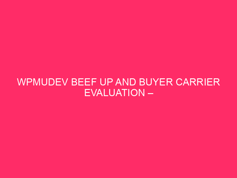 WPMUDEV Beef up And Buyer Carrier Evaluation – WPMUDEV Beef up: Shining…