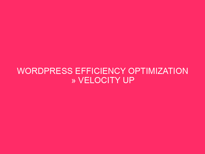 WordPress Efficiency Optimization » Velocity Up Your Website online: WordPress Efficiency…