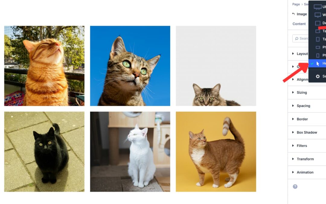 5 Hover Results You Can Create With Facet Ratio And Framing In Divi 5