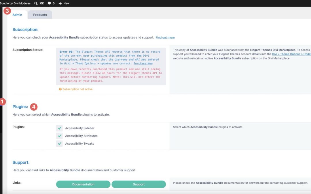 Divi Product Spotlight: Accessibility Package