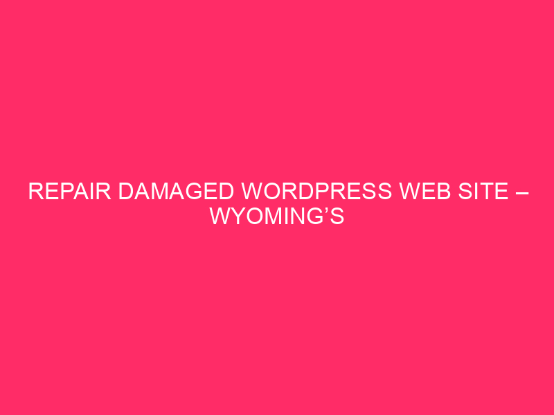 Repair Damaged WordPress Web site – Wyoming’s WordPress Rescue Squad: When…