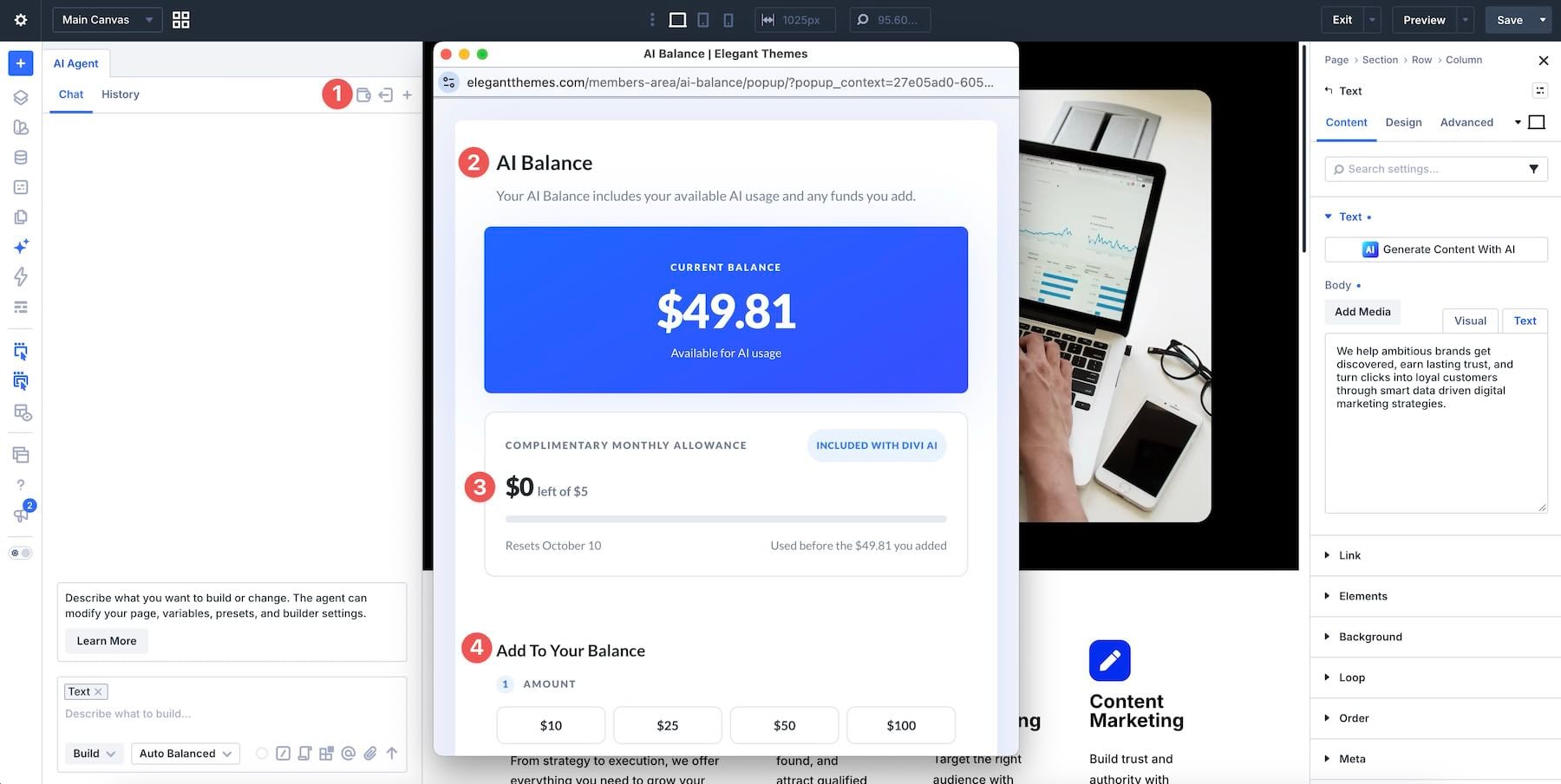 AI Wallet balance in the Divi AI agents interface