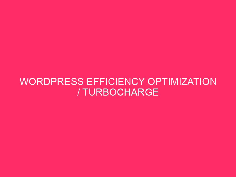 WordPress Efficiency Optimization / Turbocharge Your Site: The Newest In…